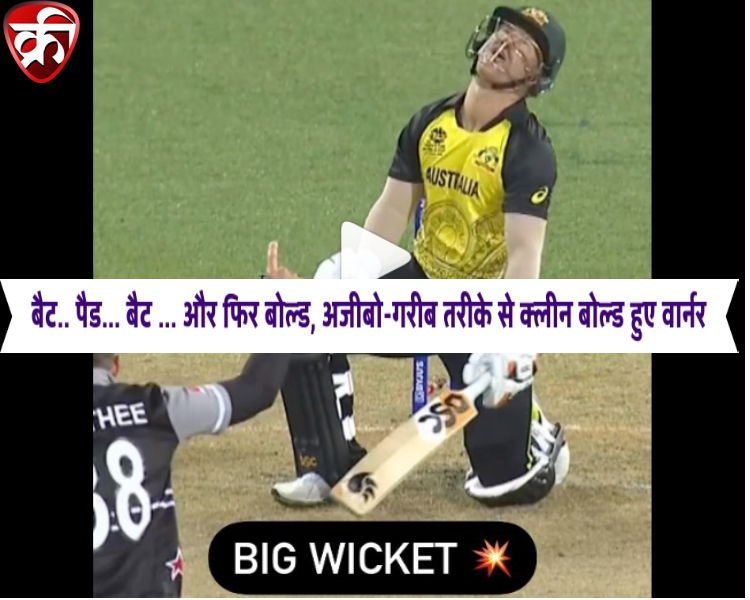 David Warner’s Bizzare bold dismissal video in T20 world Cup 2022 facts in Hindi
